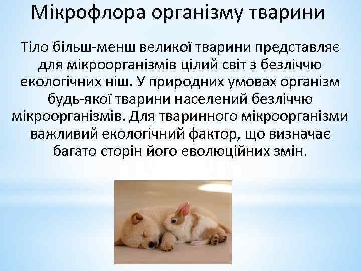 Мікрофлора організму тварини Тіло більш-менш великої тварини представляє для мікроорганізмів цілий світ з безліччю