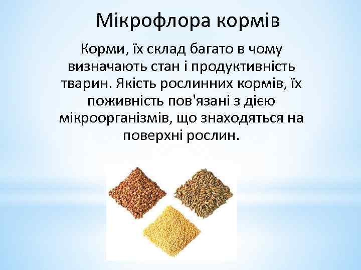 Мікрофлора кормів Корми, їх склад багато в чому визначають стан і продуктивність тварин. Якість