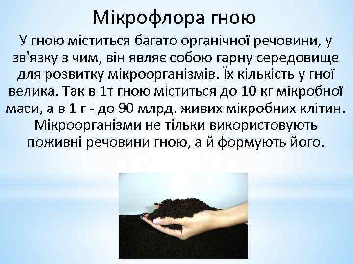 Мікрофлора гною У гною міститься багато органічної речовини, у зв'язку з чим, він являє