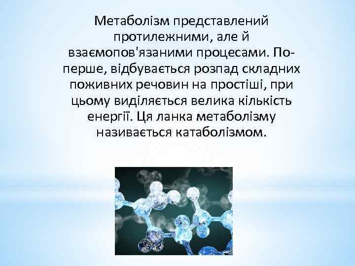 Метаболізм представлений протилежними, але й взаємопов'язаними процесами. Поперше, відбувається розпад складних поживних речовин на