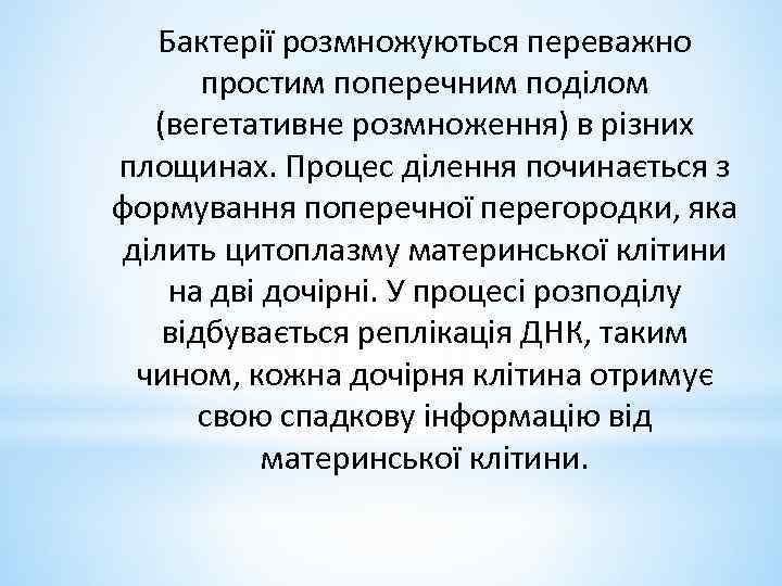 Бактерії розмножуються переважно простим поперечним поділом (вегетативне розмноження) в різних площинах. Процес ділення починається