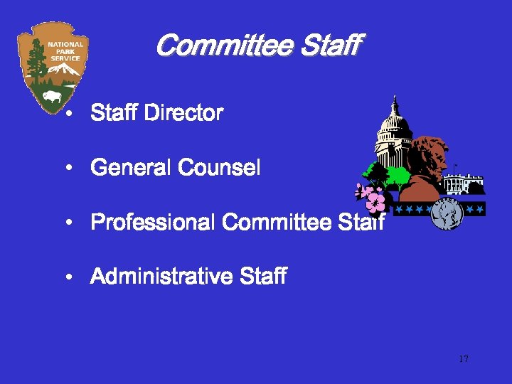 Committee Staff • Staff Director • General Counsel • Professional Committee Staff • Administrative