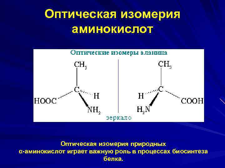 Оптическая изомерия аминокислот Оптическая изомерия природных α-аминокислот играет важную роль в процессах биосинтеза белка.