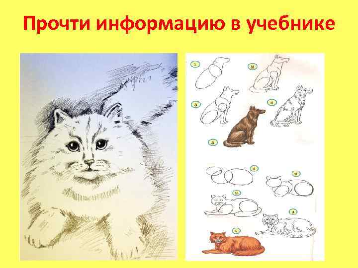 Прочти информацию в учебнике 