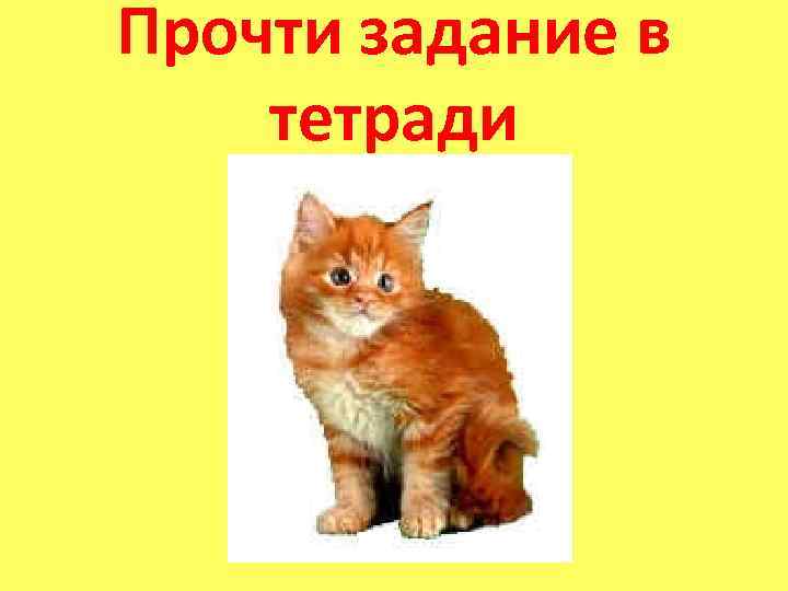 Прочти задание в тетради 