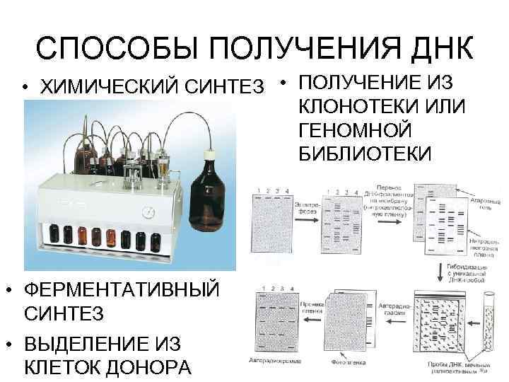 Получение образцов. Получение образцов ДНК. Способы получения ДНК. Что используют для получения образцов ДНК. Для получения образцов ДНК можно использовать:.