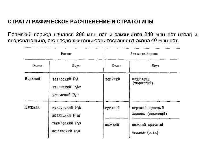 СТРАТИГРАФИЧЕСКОЕ РАСЧЛЕНЕНИЕ И СТРАТОТИПЫ Пермский период начался 286 млн лет и закончился 248 млн