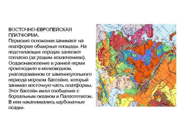 Восточно европейская платформа ископаемые