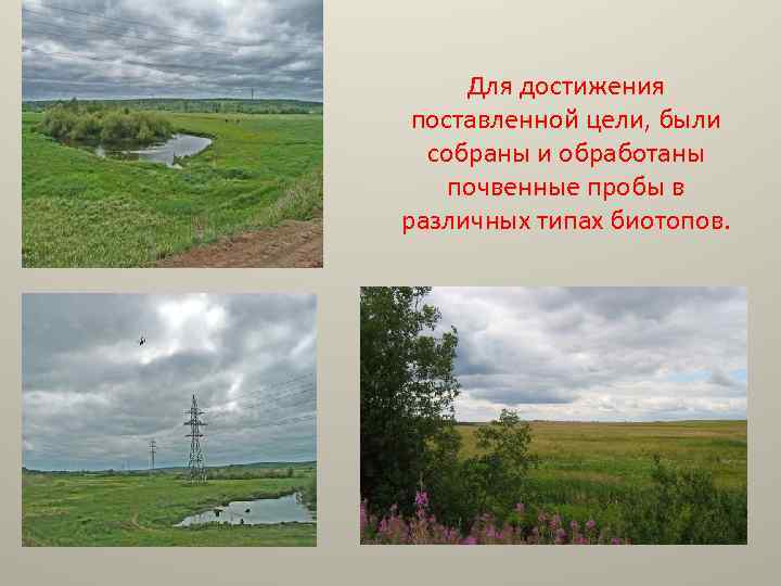 Для достижения поставленной цели, были собраны и обработаны почвенные пробы в различных типах биотопов.