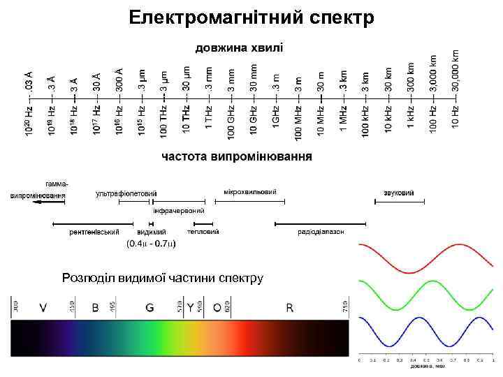 Електромагнітний спектр Розподіл видимої частини спектру 