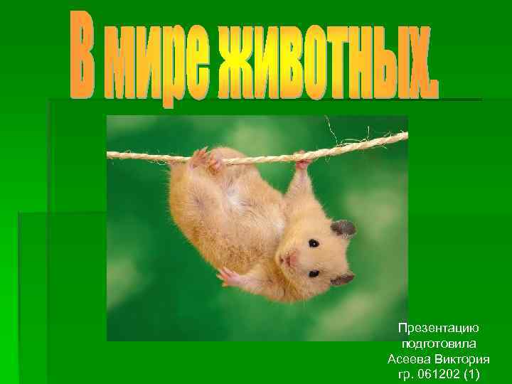 Презентацию подготовила Асеева Виктория гр. 061202 (1) 