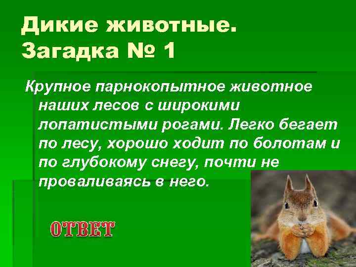 Дикие животные. Загадка № 1 Крупное парнокопытное животное наших лесов с широкими лопатистыми рогами.