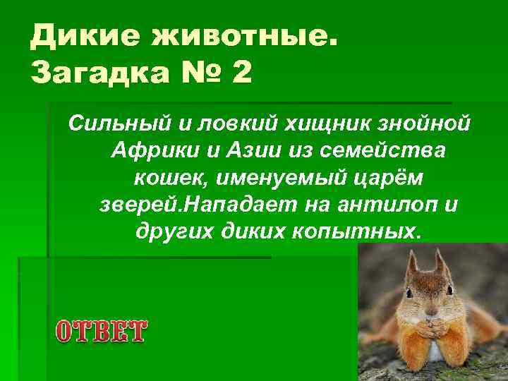 Дикие животные. Загадка № 2 Сильный и ловкий хищник знойной Африки и Азии из