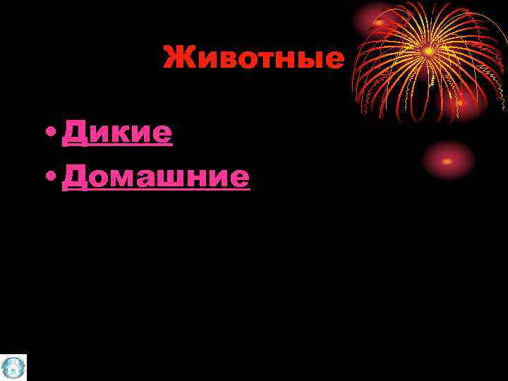 Животные • Дикие • Домашние 