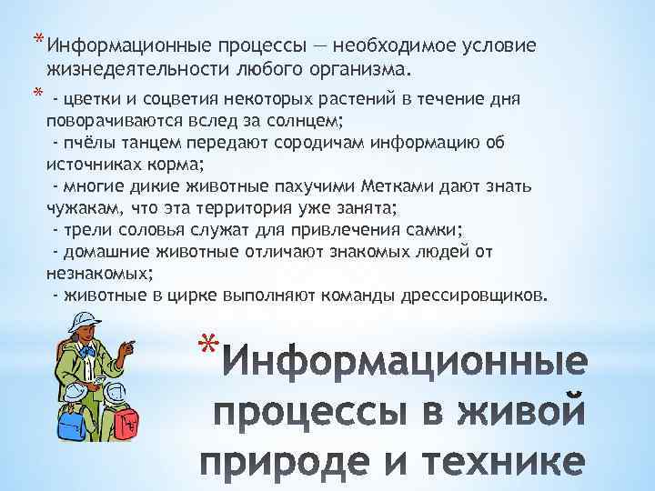 *Информационные процессы — необходимое условие жизнедеятельности любого организма. * - цветки и соцветия некоторых