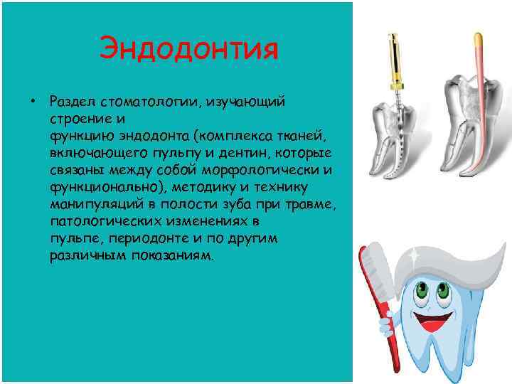 Эндодонтия • Раздел стоматологии, изучающий строение и функцию эндодонта (комплекса тканей, включающего пульпу и