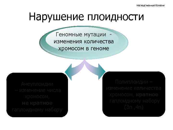 Наследственные болезни Нарушение плоидности Геномные мутации изменения количества хромосом в геноме Анеуплоидии – изменение