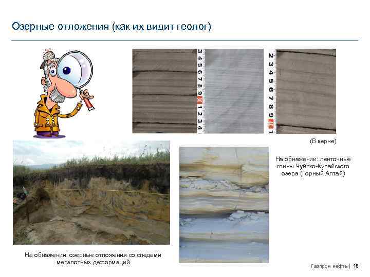 Озерные отложения (как их видит геолог) (В керне) На обнажении: ленточные глины Чуйско-Курайского озера