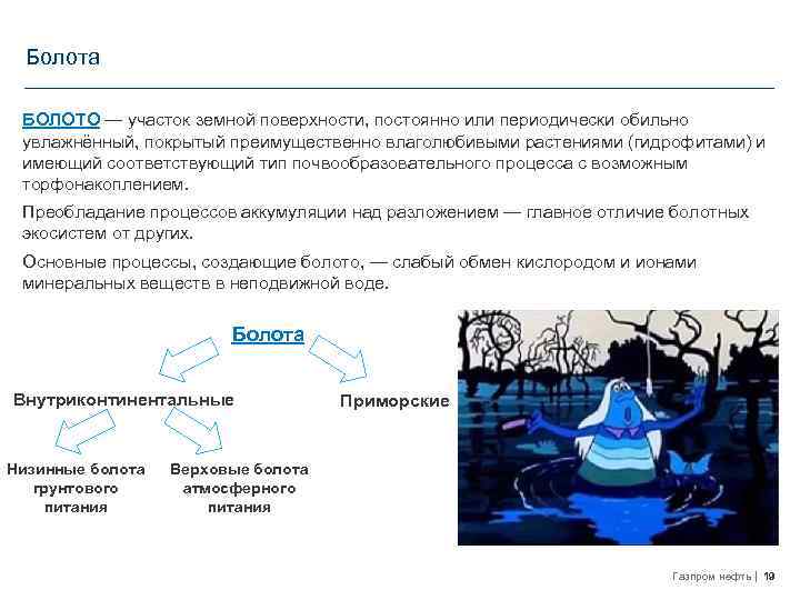 Болота БОЛОТО — участок земной поверхности, постоянно или периодически обильно увлажнённый, покрытый преимущественно влаголюбивыми