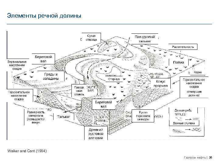 Элементы речной долины Walker and Cant (1984) Газпром нефть 36 