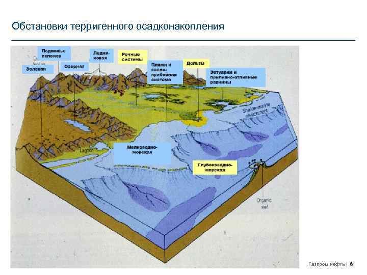 Обстановки терригенного осадконакопления Газпром нефть 6 