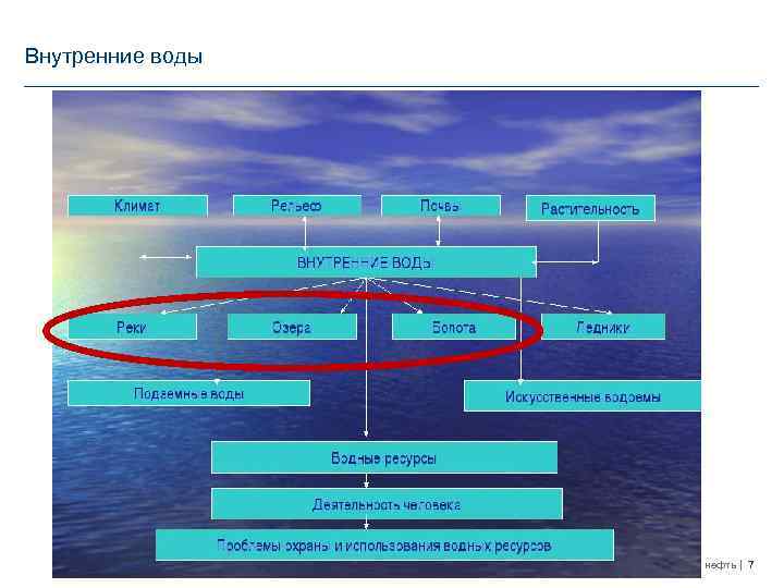 Внутренние воды Газпром нефть 7 