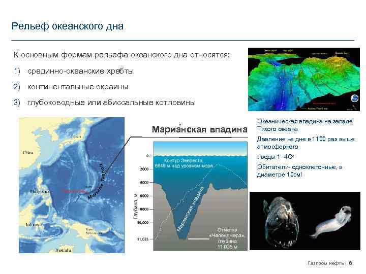 Рельеф океанского дна К основным формам рельефа океанского дна относятся: 1) срединно-океанские хребты 2)