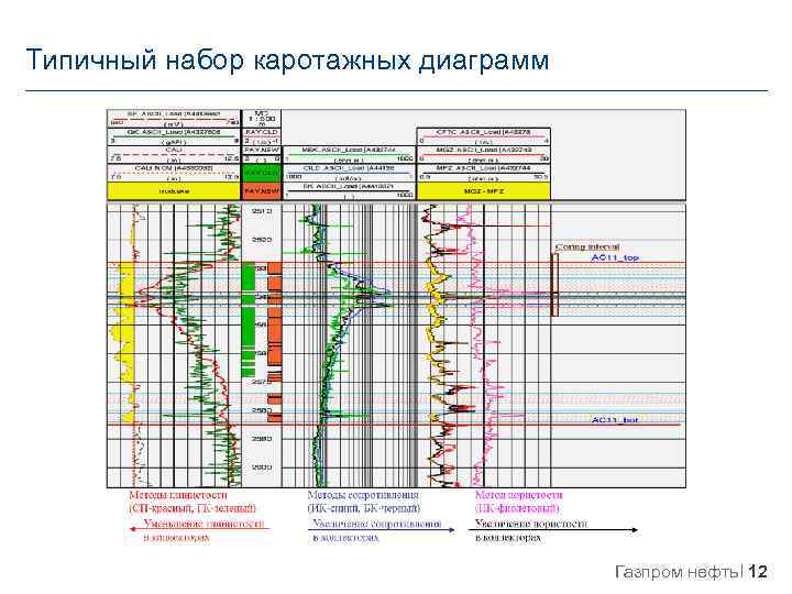 Типичный набор каротажных диаграмм Газпром нефть 12 