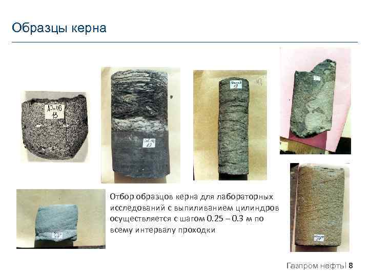 Образцы керна Отбор образцов керна для лабораторных исследований с выпиливанием цилиндров осуществляется с шагом