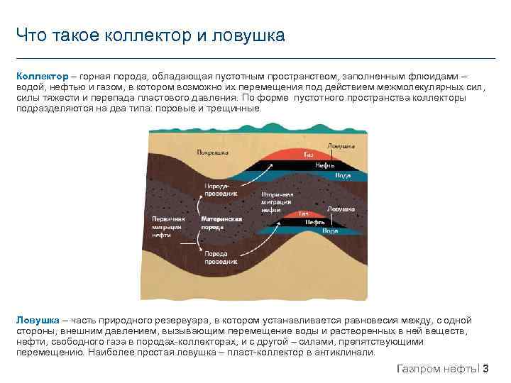 Что такое коллектор и ловушка Коллектор – горная порода, обладающая пустотным пространством, заполненным флюидами