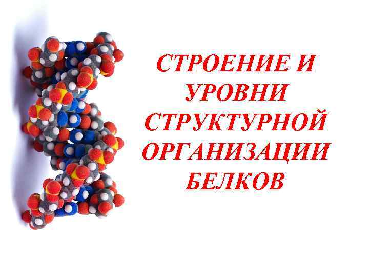 Тема аминокислоты белки. Уровни структурной организации белка. Уровни структурной организации белков. Белки аминокислоты. Компания белок.