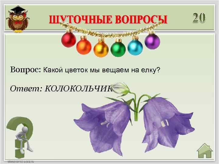 Вопрос: Какой цветок мы вещаем на елку? Ответ: КОЛОКОЛЬЧИК 