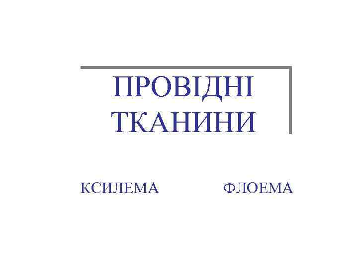ПРОВІДНІ ТКАНИНИ КСИЛЕМА ФЛОЕМА 