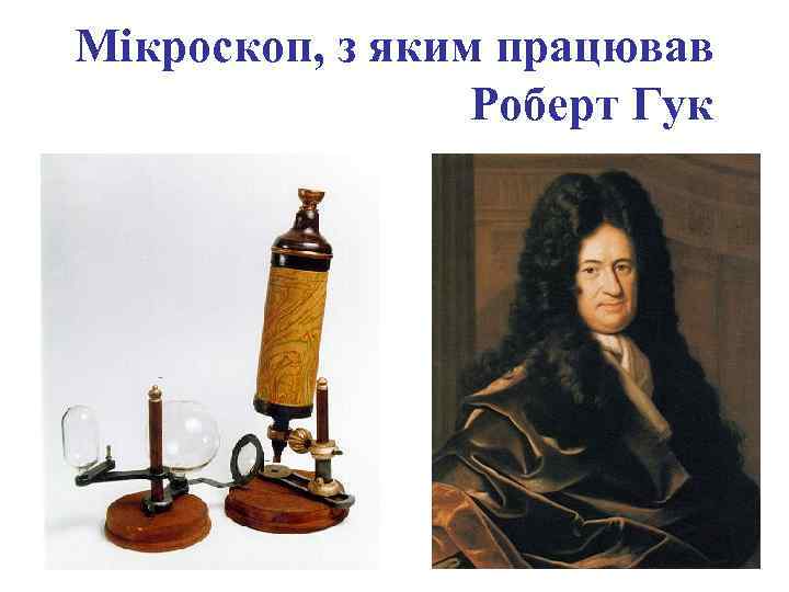 Мікроскоп, з яким працював Роберт Гук 