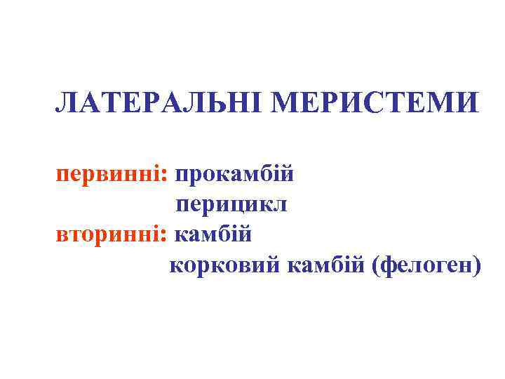 ЛАТЕРАЛЬНІ МЕРИСТЕМИ первинні: прокамбій перицикл вторинні: камбій корковий камбій (фелоген) 