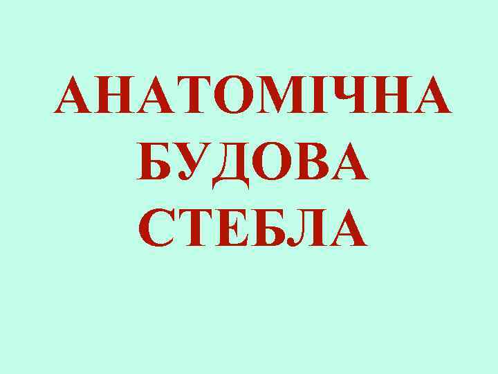 АНАТОМІЧНА БУДОВА СТЕБЛА 
