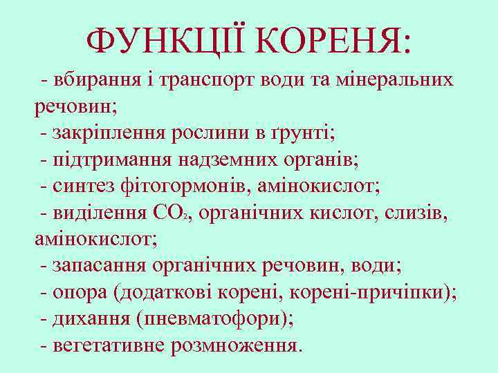 ФУНКЦІЇ КОРЕНЯ: - вбирання і транспорт води та мінеральних речовин; - закріплення рослини в