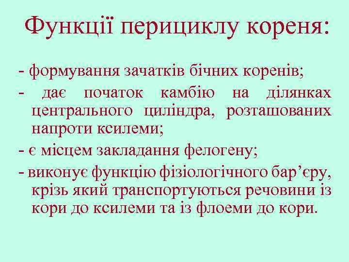 Функції перициклу кореня: - формування зачатків бічних коренів; - дає початок камбію на ділянках