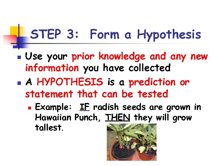 STEP 3: Form a Hypothesis n n Use your prior knowledge and any new