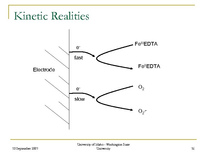 Kinetic Realities e- Fe. IIIEDTA fast Fe. IIEDTA Electrode e- O 2 slow O