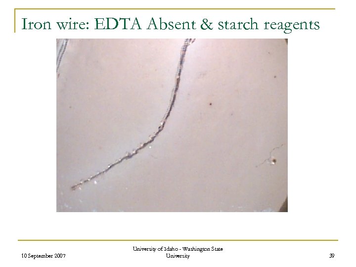 Iron wire: EDTA Absent & starch reagents 10 September 2007 University of Idaho -