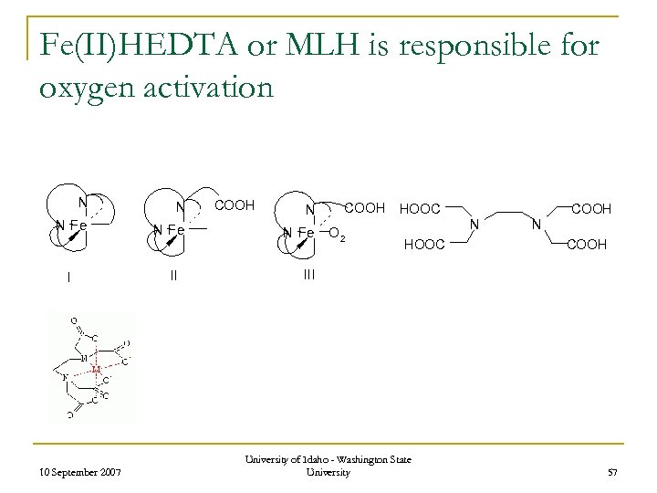 Fe(II)HEDTA or MLH is responsible for oxygen activation N N N Fe I 10