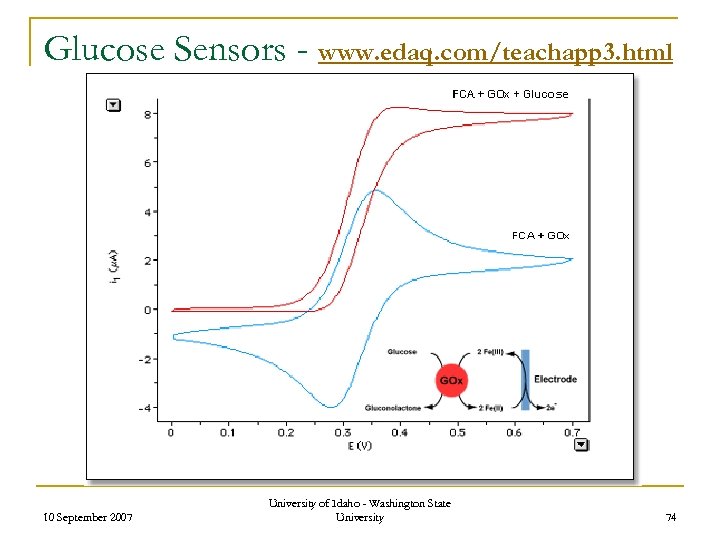 Glucose Sensors - www. edaq. com/teachapp 3. html 10 September 2007 University of Idaho