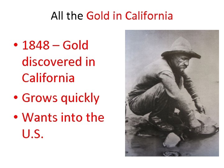 All the Gold in California • 1848 – Gold discovered in California • Grows