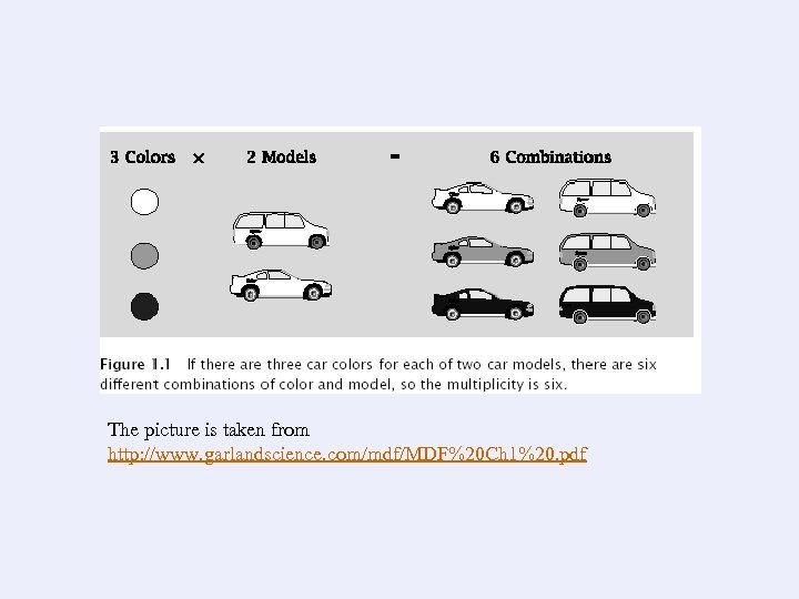 The picture is taken from http: //www. garlandscience. com/mdf/MDF%20 Ch 1%20. pdf 