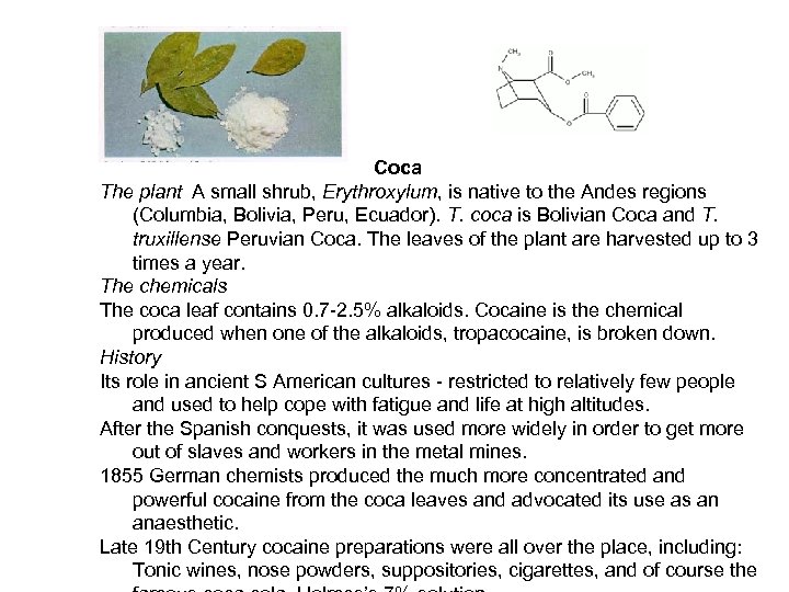 Coca The plant A small shrub, Erythroxylum, is native to the Andes regions (Columbia,
