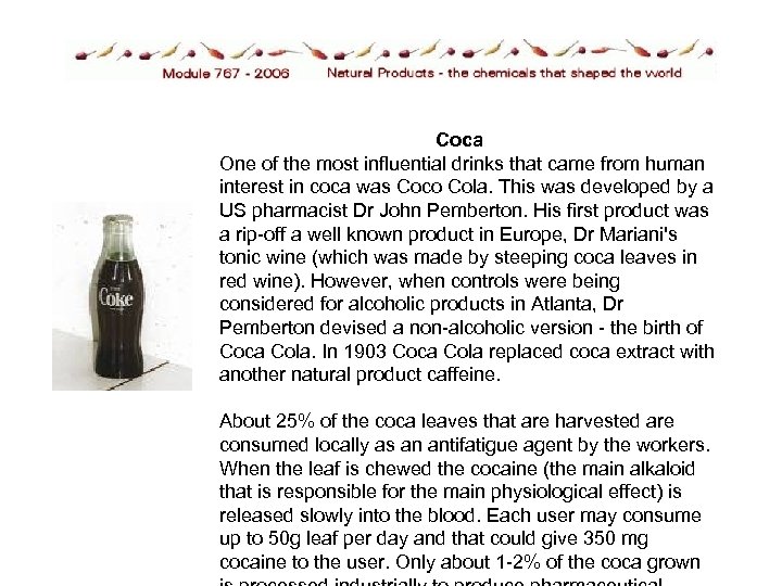 Coca One of the most influential drinks that came from human interest in coca