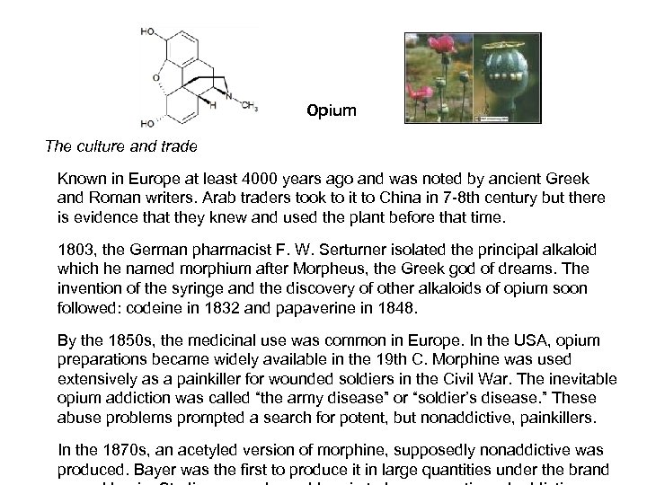Opium The culture and trade Known in Europe at least 4000 years ago and