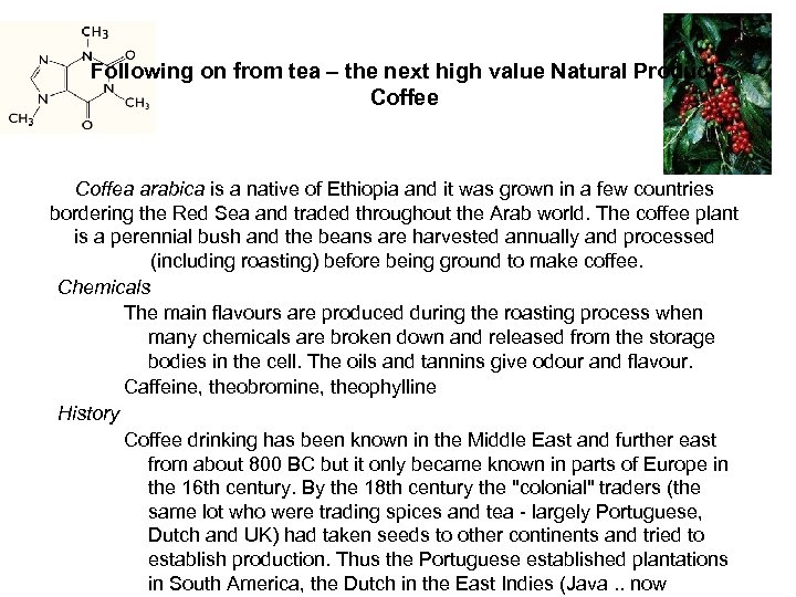 Following on from tea – the next high value Natural Product Coffee Coffea arabica
