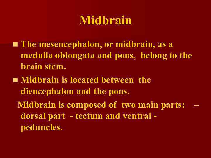 Midbrain n The mesencephalon, or midbrain, as a medulla oblongata and pons, belong to